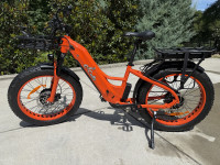 E-Cells Monarch 1500 AWD 2023 Model