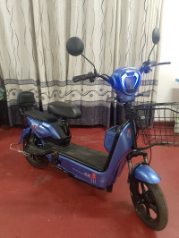GICIN 8sk 2025 Model