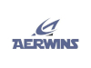 AERWINS