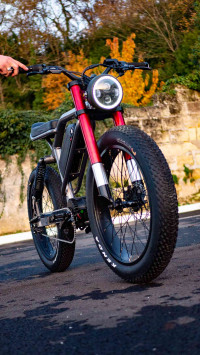 Aevon Le Cafe Racer Bicycle: Price 