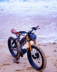 Aevon Le Cafe Racer Bicycle: Price 