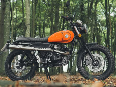 AJS 71 Desert Scrambler