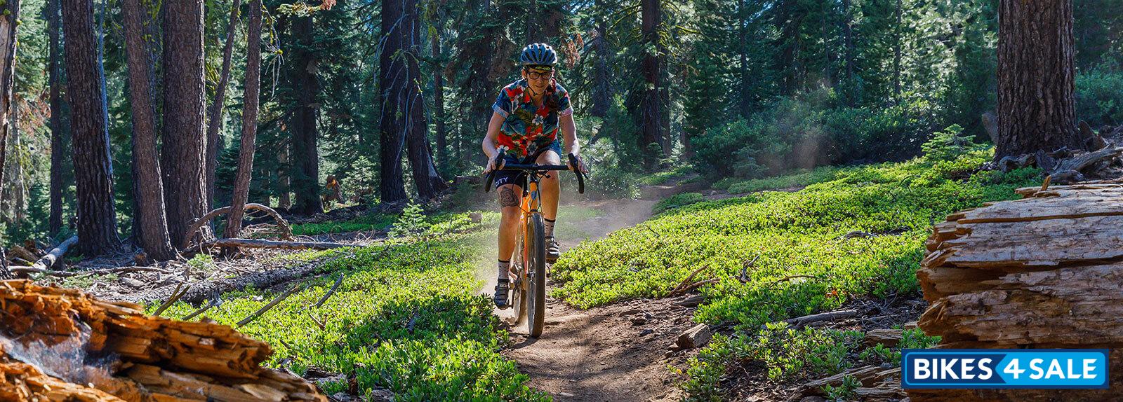 All-City Gorilla Monsoon GRX