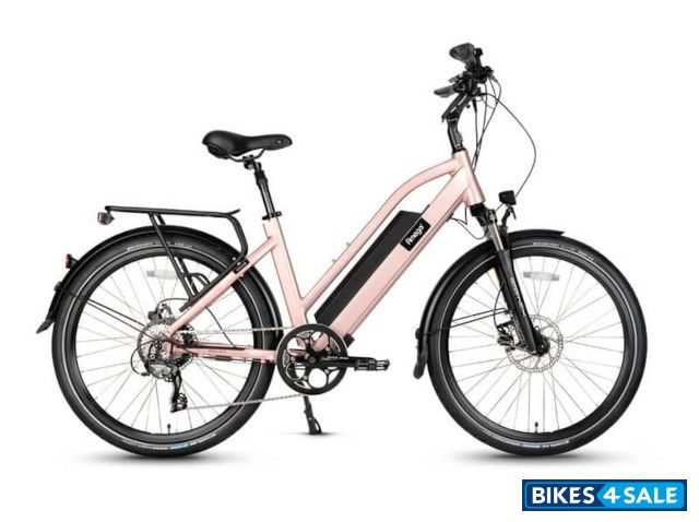 Amego Infinite Plus Step-Thru