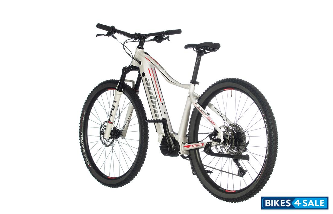 Author Elevation 29 ASL 2021-22