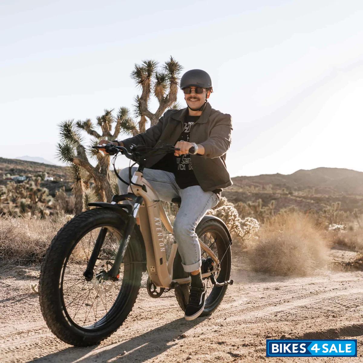 Aventon Aventure Ebike