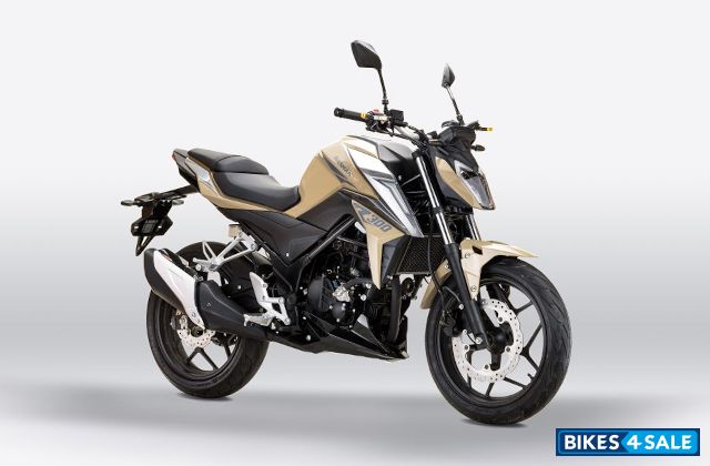 Bashan BS300GS-2