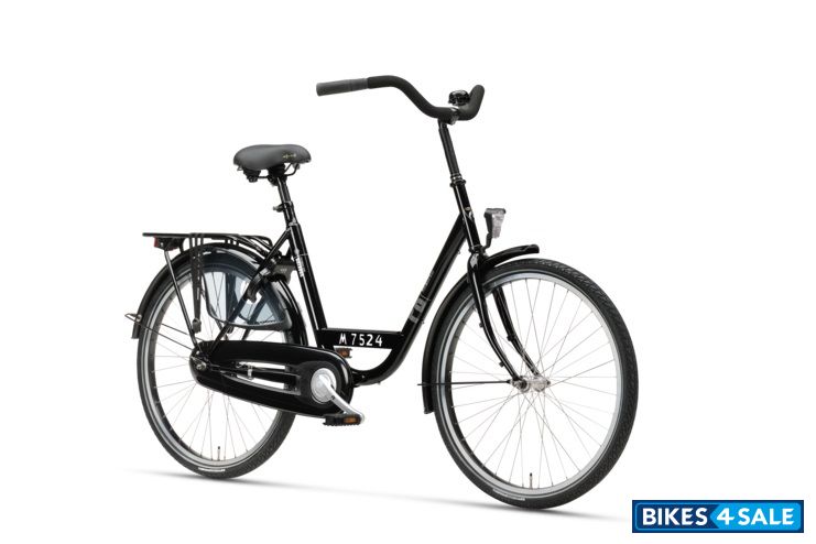 Batavus Personal Bike
