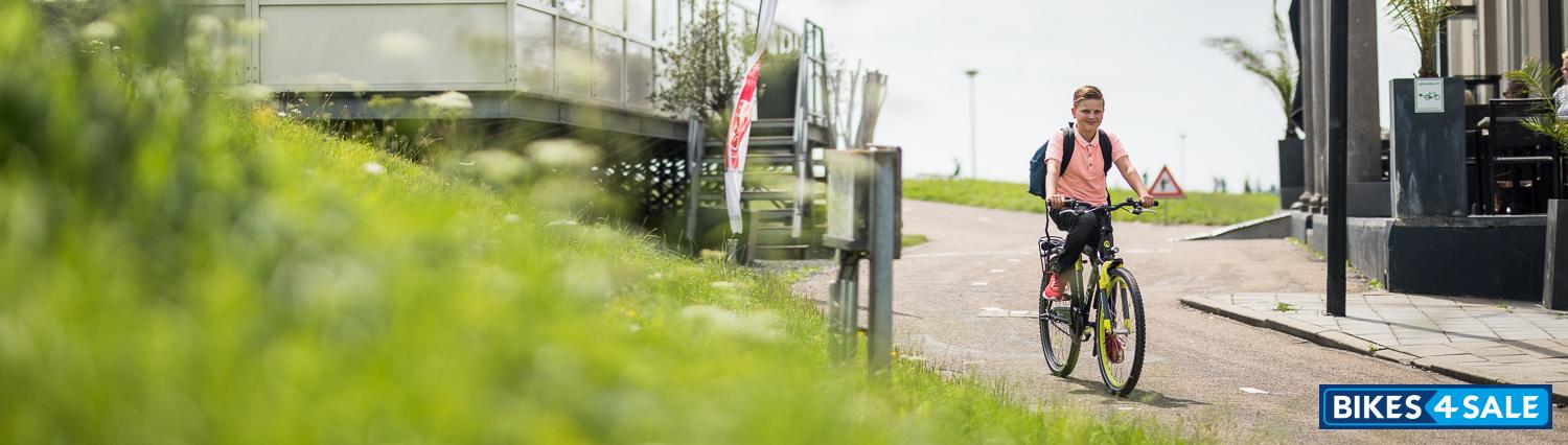 Batavus Snake 26 inch