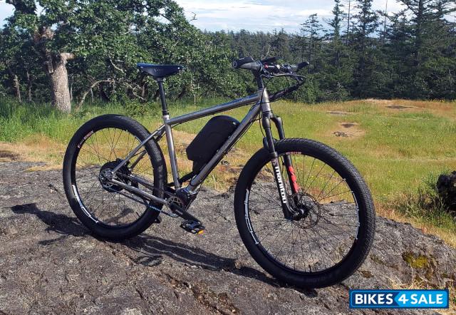 BearCraft Electro Pilsner - Ultimate Adventure Ebike