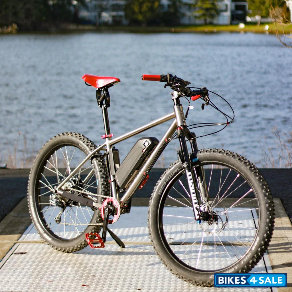 BearCraft Electro Pilsner - Ultimate Adventure Ebike