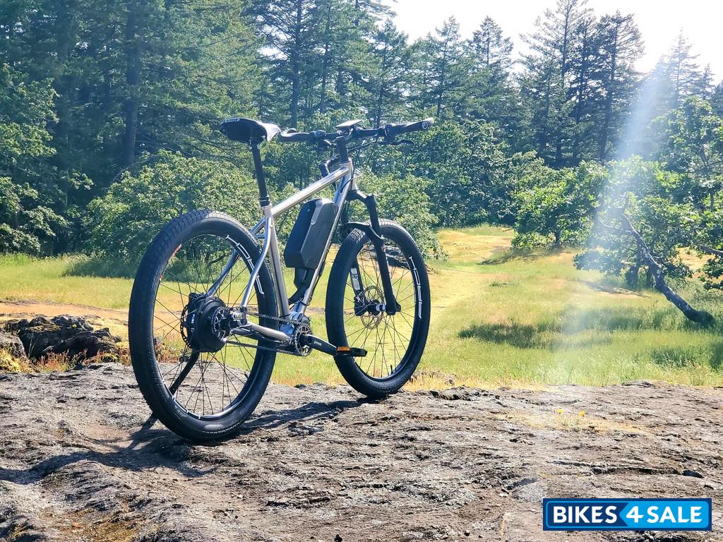 BearCraft Electro Pilsner - Ultimate Adventure Ebike