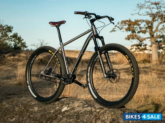 BearCraft Pilsner Pinion