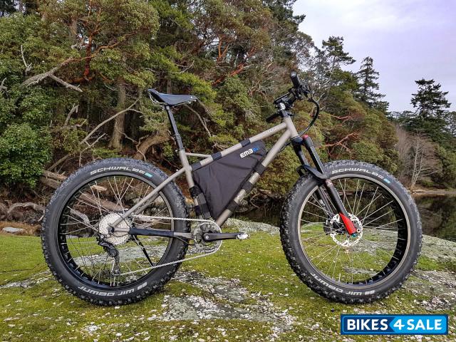 BearCraft Stout - Electric Fat bike