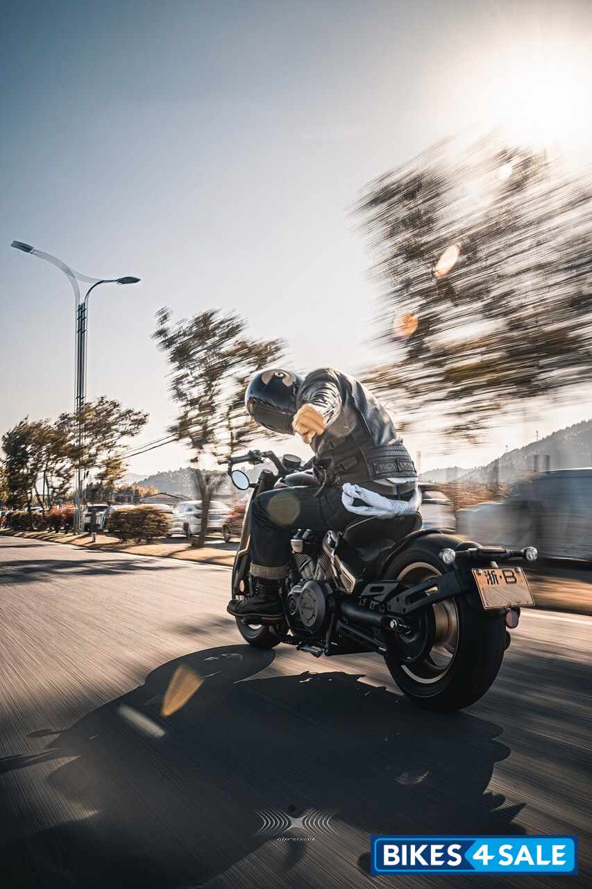 Benda Napoleon Bob 500