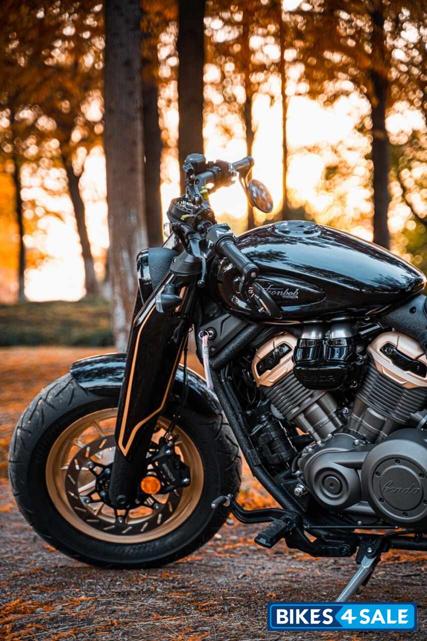 Benda Napoleon Bob 500