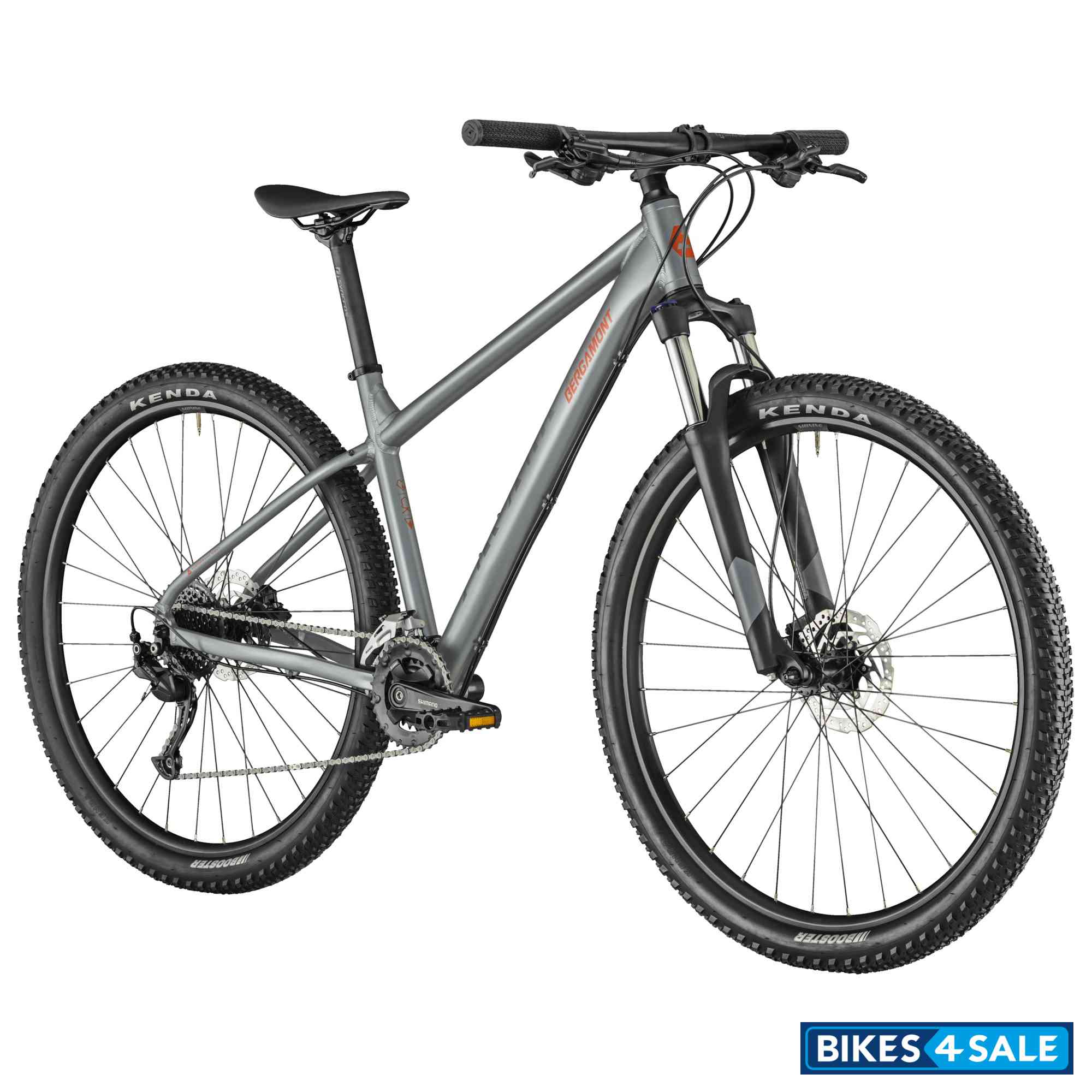 Bergamont Revox 4 grey