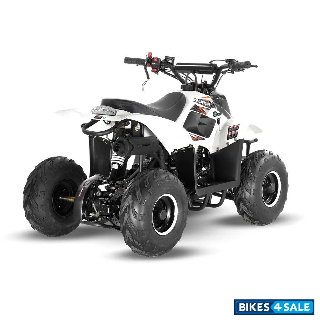 Big Boy Monster Puma 110