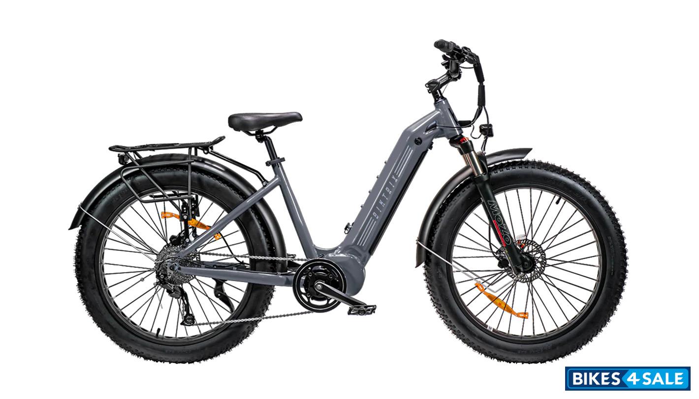 Biktrix Juggernaut Classic Duo Step-Thru