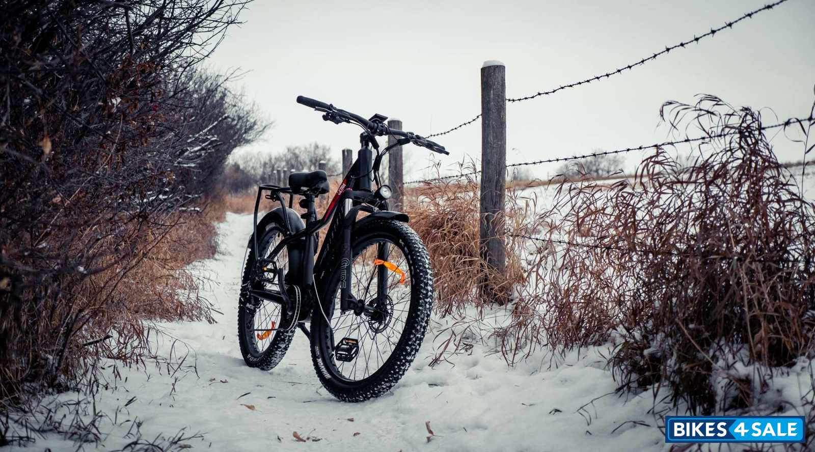 Biktrix Juggernaut Ultra 1000 Pro