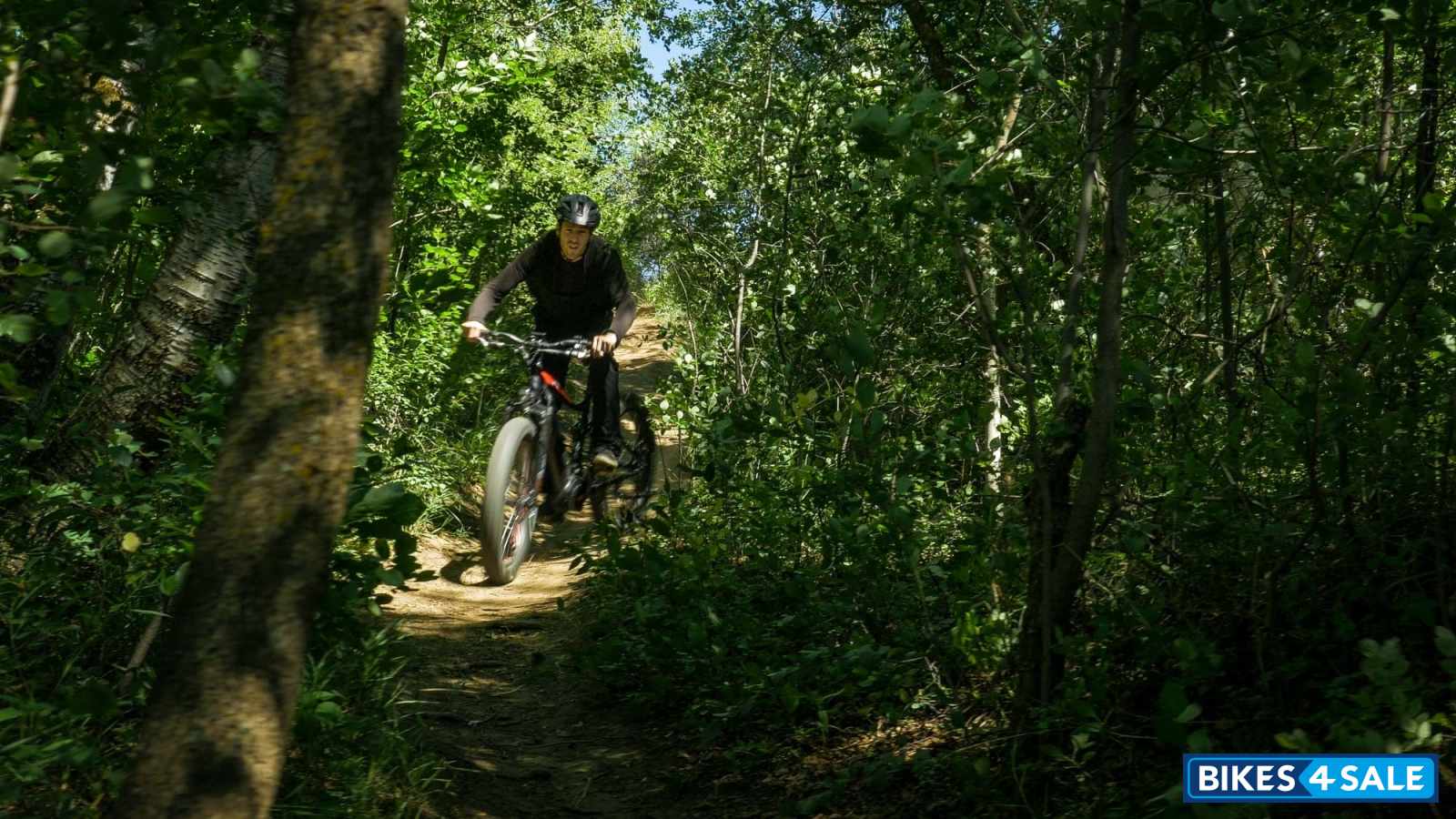 Biktrix Juggernaut Ultra FS