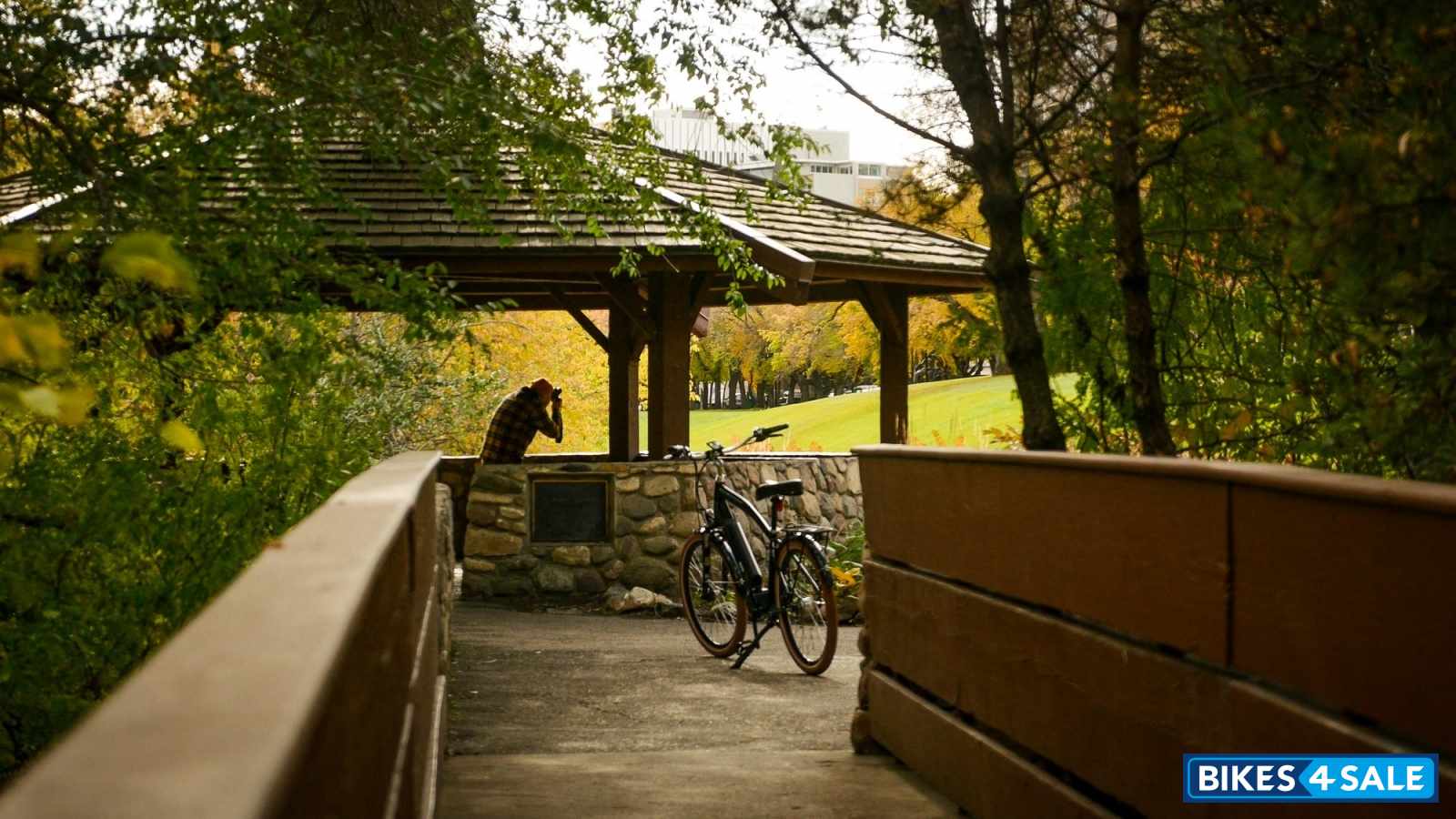 Biktrix Stunner Step-Over