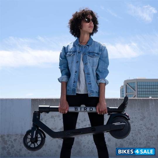 Bird Air