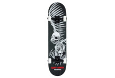 Birdhouse Tony Hawk Full Skull Complete 8