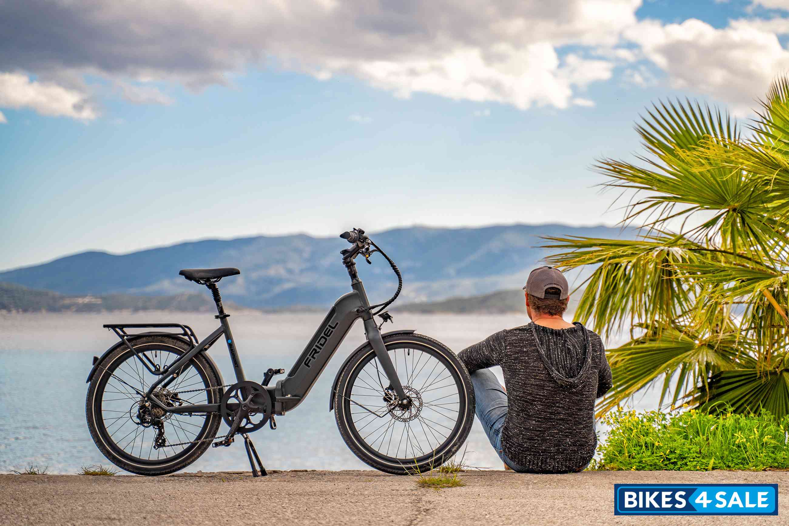 Blaupunkt Fridel 2024