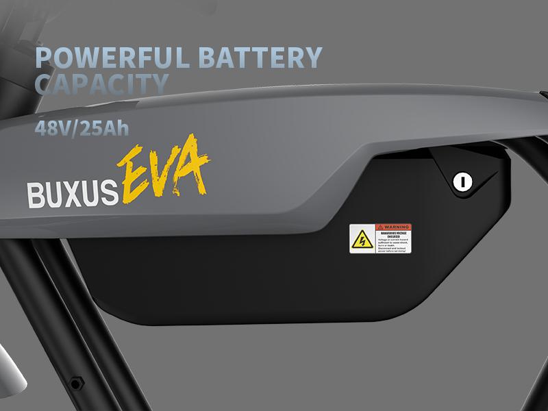 BUXUS EVAS Electric Bike - Battery