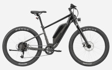 Cannondale Adventure Neo Allroad