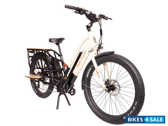 CSC Vista Cruiser Electric