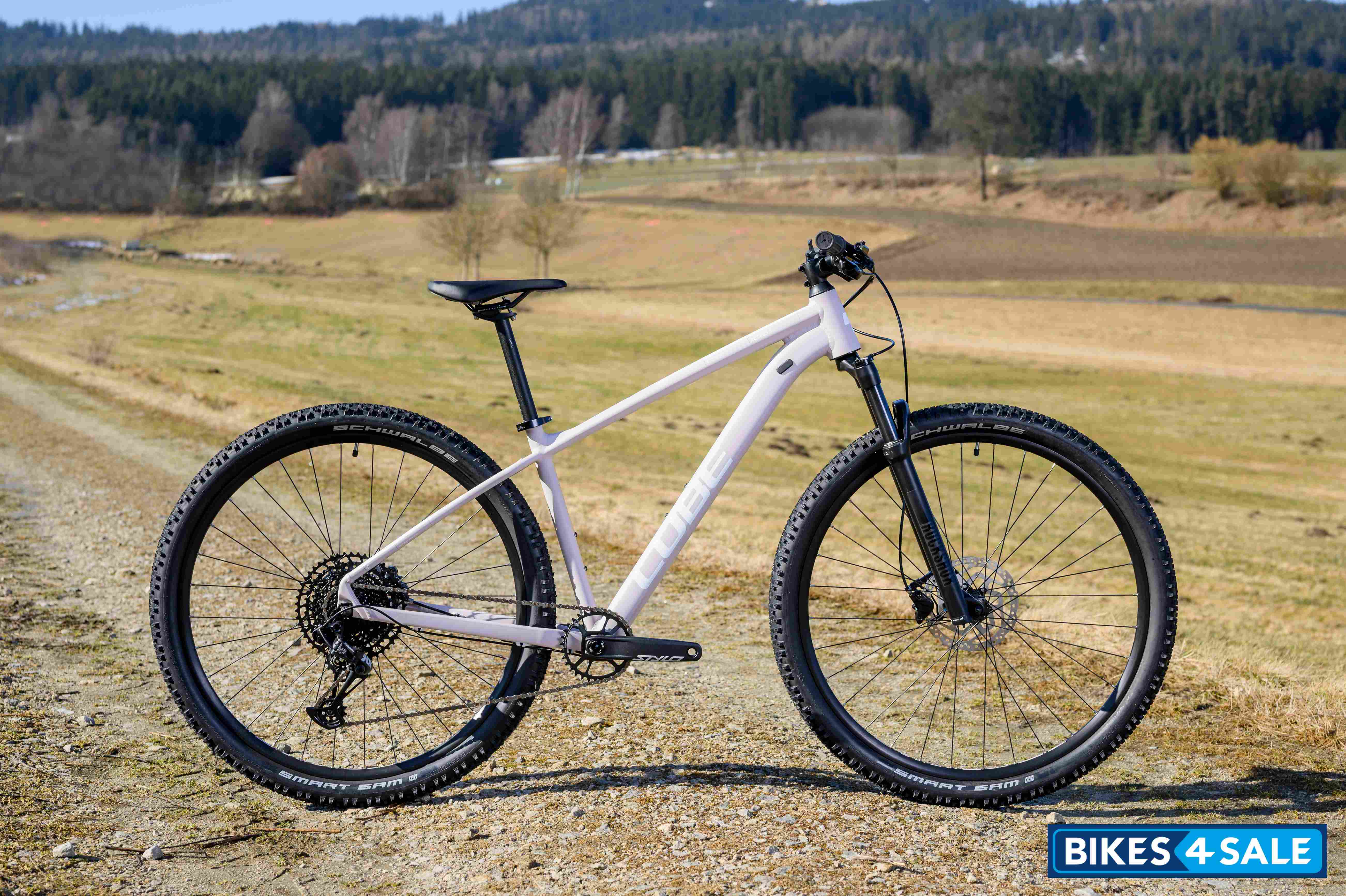 CUBE Access WS SL 2022