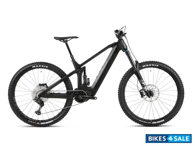 Dartmoor E-Thunderbird CF