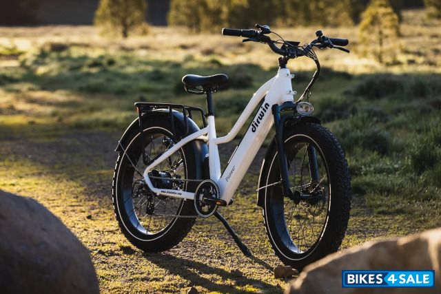 Dirwin Pioneer Fat Tire