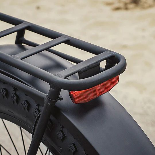 Dirwin Pioneer Fat Tire