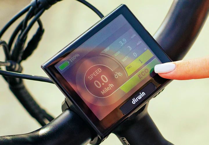 Dirwin Pioneer Fat Tire 3.5” color LCD display