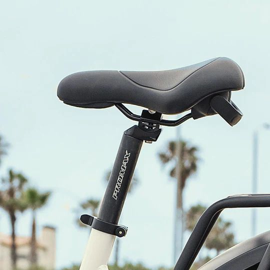 Dirwin Pioneer Fat Tire