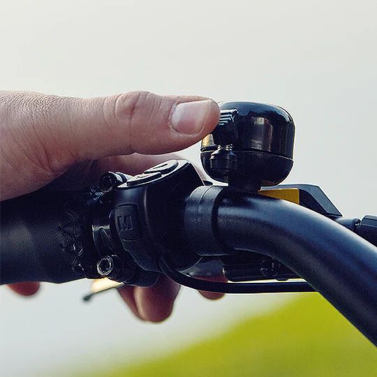 Dirwin Seeker Fat Tire Adjustable handlebar with easy to use controls