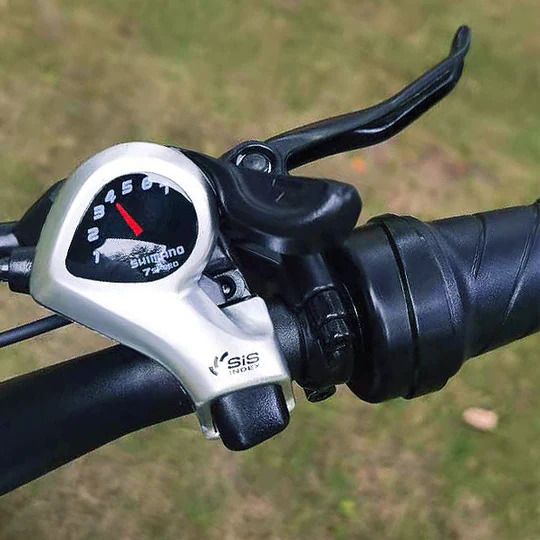 Dirwin Seeker Fat Tire Shimano 7-Speed gear system