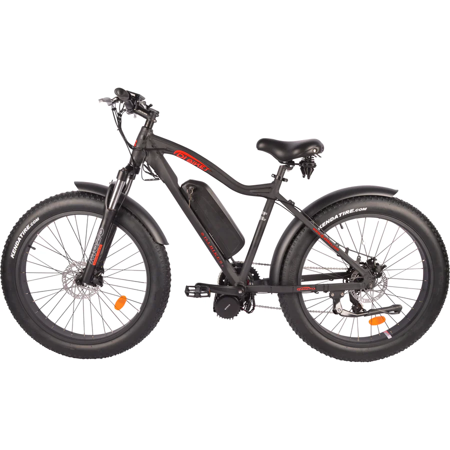 DJ Mid Drive Fat Bike