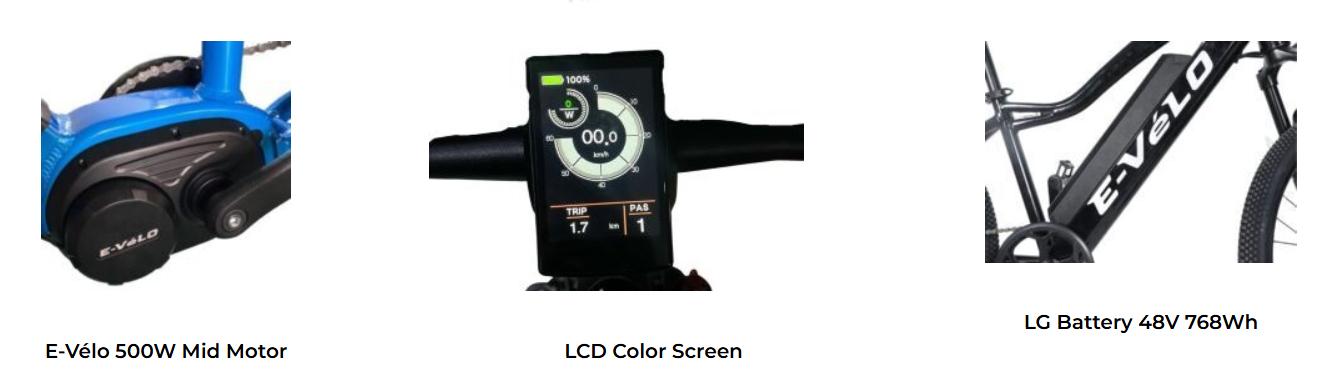 E-VeLO Husky 29 3rd Gen