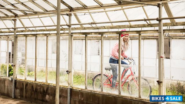 Electra Townie 7D 24 Step-Thru