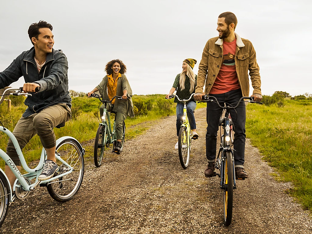 Electra Townie 7D EQ Step-Over