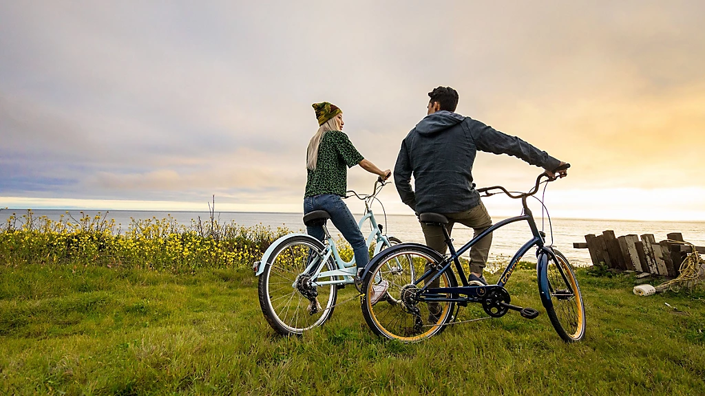 Electra Townie 7D Step-Over