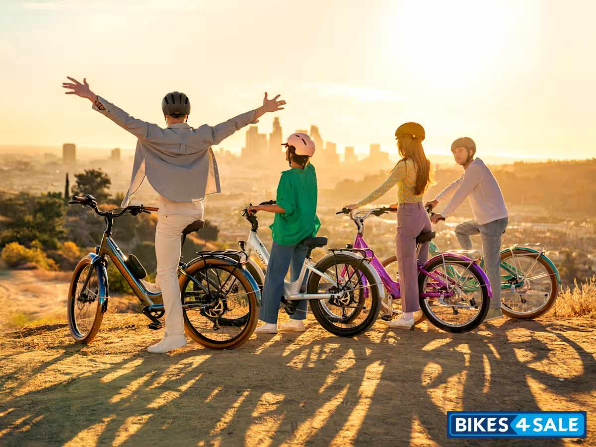 Electra Townie Go Step-Thru