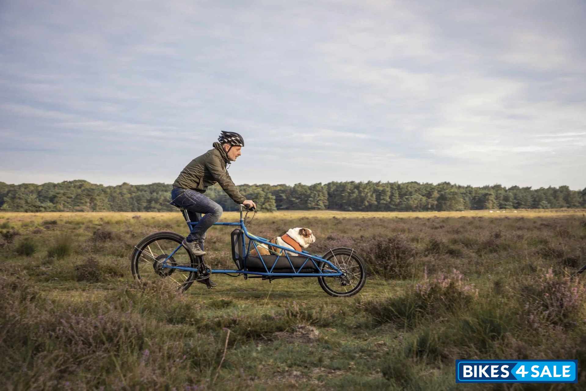 Elian Electric Cargobike