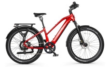 Euphree Stellar Falcon Mid-Step