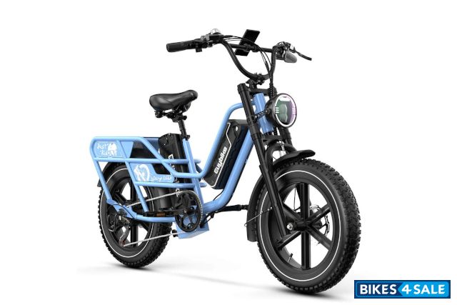 Euybike W1