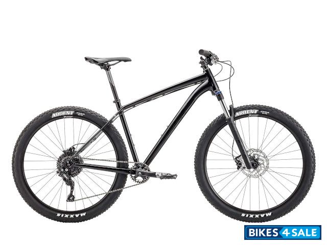 Felt Dispatch 7/60 2019